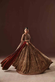 Rust and Gold Lehnga Choli - BRIDAL